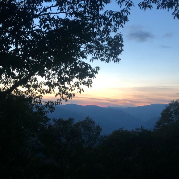 Meet your Posher, Denise - Picture 2 of 5